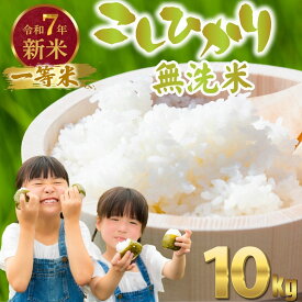 【ふるさと納税】【無洗米】令和7年度新米 広島県産米 コシヒカリ 無洗米 10kg 一等米 精米【 米 お米 新米 広島県産 おむすび ごはん ゴハン こめ コメ おにぎり 国産】