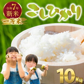 【ふるさと納税】令和7年度新米 広島県産米 コシヒカリ 10kg 一等米 精米【 米 お米 新米 広島県産 おむすび ごはん ゴハン こめ コメ おにぎり 国産】※2025年10月より順次発送予定