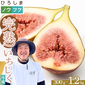 【ふるさと納税】2026年予約受付 朝どれ 完熟いちじく 300g~1.2kg 冷凍配送 大乗いちじく 蓬莱柿 皮むき済 | 真空パック 宗越園 国産 フルーツ イチジク 無花果