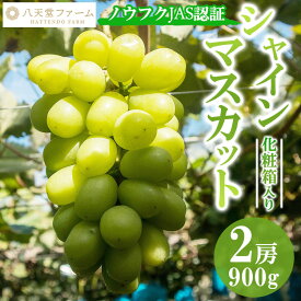 【ふるさと納税】八天堂ぶどう園 シャインマスカット 2房 900g ノウフクJAS認証 化粧箱入り 果物 ぶどう　【 ぶどう フルーツ 果物 甘くて大きい 薄皮 糖度が高い 】　※2025年8月中旬頃～9月下旬頃に順次発送予定