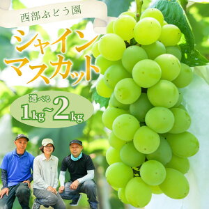 yӂ邳Ɣ[ŁzyIׂeʁIzs\ Ԃǂ VC}XJbg 1~2kg  Ȃ  Ԃǂ uhE t[c ʕ ʌ聦Eւ̔zs 2025N8{`10