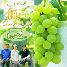 【ふるさと納税】【選べる内容量！】西部ぶどう園 瀬戸ジャイアンツ 1~2kg | 薄皮 種なし 大粒 葡萄 ぶどう ブドウ フルーツ 果物 皮ごとOK 白ぶどう 高糖度 詰合せ 数量限定 ※沖縄・離島への配送不可 ※2025年9月下旬～10月下旬頃に順次発送予定