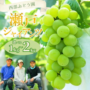 yӂ邳Ɣ[ŁzyIׂeʁIzԂǂ ˃WCAc 1~2kg |  Ȃ 嗱  Ԃǂ uhE t[c ʕ 炲OK Ԃǂ x l ʌ Eւ