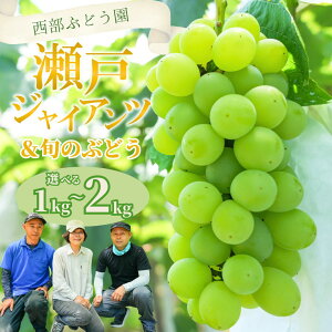 yӂ邳Ɣ[ŁzyIׂeʁIzԂǂ ˃WCAcƏ{̂ԂǂZbg1~2kg |  Ȃ 嗱  Ԃǂ uhE t[c ʕ 炲OK Ԃǂ x l ʌ