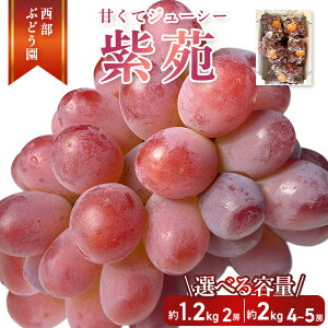 yӂ邳Ɣ[ŁzyIׂeʁIzԂǂ  1~2kg  Ԃǂ uhE t[c ʕy 炲  x l W[V[ Â p z Eւ̔zs 202