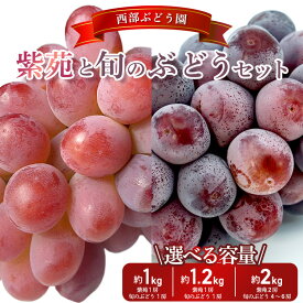 【ふるさと納税】【選べる内容量！】西部ぶどう園 紫苑 旬のぶどうセット 1~2kg 葡萄 ぶどう ブドウ フルーツ 果物【皮ごと 美味しい 白ぶどう 高糖度 詰合せ ジューシー 甘い 贈答用】※沖縄・離島への配送不可 ※2025年9月下旬～10月下旬頃に順次発送予定