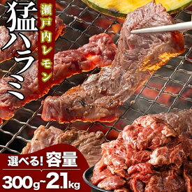 【ふるさと納税】【選べる容量・回数】 猛ハラミ（タケハラミ） 300g～2.1kg 尾野精肉店の牛ハラミ 瀬戸内レモン塩だれ｜肉 定期便 訳あり 味付け 小分け 冷凍 牛肉 ハラミ お肉 焼肉 BBQ 真空パック 簡単調理 はらみ ※離島への配送不可