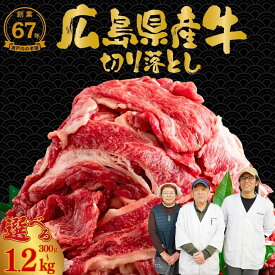 【ふるさと納税】【数量が選べる】 広島県産牛 切り落とし 300g～1.2kg｜ 国産牛 訳あり 切り落とし バラ スネ モモ 肉 お肉 牛肉 牛 牛丼 選べる 安全 人気