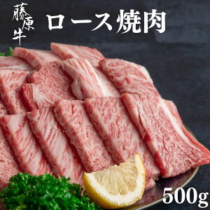 yӂ邳Ɣ[Łz [X ēp 500g a Ly  ₫ɂ |Ya BBQ ~ ōi  z