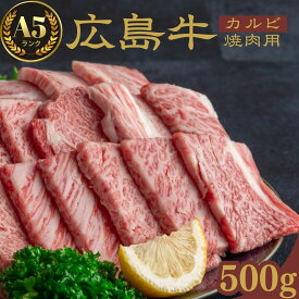 【ふるさと納税】広島牛 黒毛和牛 A5ランク カルビ 焼肉 500g【牛肉 お肉 カルビ バラ ロース やきにく 和牛 BBQ 霜降り 最高品質 肉質 脂質】