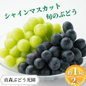 【ふるさと納税】ぶどう詰合せ シャインマスカット 旬のぶどう 約1kg 2房セット 貞森ぶどう光園 ぶどう ブドウ 葡萄 フルーツ 果物　【 大粒 人気 皮ごと 熟した 採れたて 食べ比べ ピオーネ 】　※2025年9月上旬～9月下旬頃に順次発送予定