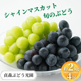 【ふるさと納税】ぶどう詰合せ シャインマスカット 旬のぶどう 詰め合わせ 約2kg 4～5房 セット 貞森ぶどう光園 ぶどう ブドウ 葡萄 フルーツ 果物 【 大粒 人気 皮ごと 熟した 採れたて 食べ比べ ピオーネ 】　※2025年9月上旬～9月下旬頃に順次発送予定