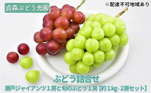 yӂ邳Ɣ[ŁzԂǂl ˃WCAc {̂Ԃǂ 1kg 2[Zbg XԂǂ Ԃǂ uhE  t[c ʕ@y 嗱 lC 炲 n ̂ꂽ Hה sI[l z