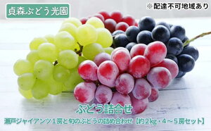 yӂ邳Ɣ[ŁzԂǂl ˃WCAc {̂Ԃǂ lߍ킹 2kg 4`5[Zbg XԂǂ Ԃǂ uhE  t[c ʕ@y 嗱 lC 炲 n ̂ꂽ Hה