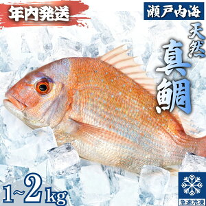 �y�ӂ邳�Ɣ[�Łz�y12��21���܂ł̊�t�ŔN���z���z���˓��u�V�R�v�^�� �܂邲�Ǝp 1kg�`2kg �E���R�E�����������ς݁i�}���Ⓚ�j| �� �}�_�C �^�C ��߂� �⒃�Ђ� �u���b�N �C�N ���� ����