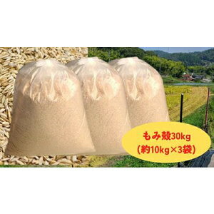 yӂ邳Ɣ[Łz_݂y30kgz10kg×3܁yʂ ʂ ݂ʂ ~L[NC[ Ђ y Gh~ n  z
