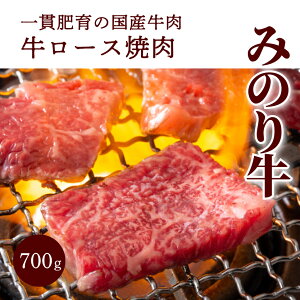 yӂ邳Ɣ[Łzy~mt[Yẑ݂苍[Xē 700g 052010