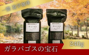yӂ邳Ɣ[Łz Vw@KpSX̕ Jewels of Miconiaiv240gjR[q[   044001