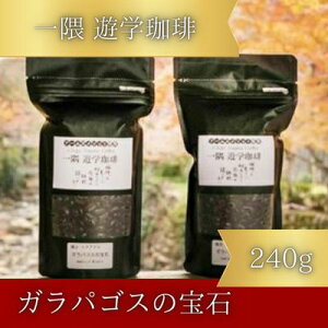 yӂ邳Ɣ[Łz Vw@KpSX̕ Jewels of Miconiaiv240gjR[q[   044001