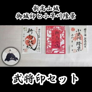 yӂ邳Ɣ[ŁzuVR v  u엲i v m[g a@110001