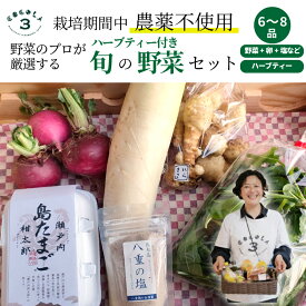 【ふるさと納税】【栽培期間中無農薬】野菜のプロが選ぶ. 旬の野菜・卵・天然塩・ハーブティー 全6～8品詰め合わせセット（レシピ付き） 野菜 塩 卵 たまご 有機農家 野菜セット オーガニック レシピ 広島県 三原市 佐木島 083002