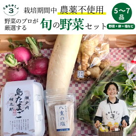 【ふるさと納税】【栽培期間中無農薬】野菜のプロが選ぶ. 旬の野菜・卵・天然塩 全5〜7品詰め合わせセット（レシピ付き） 野菜 塩 卵 たまご 有機農家 野菜セット オーガニック レシピ 広島県 三原市 佐木島 083001