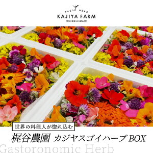 【ふるさと納税】世界の料理人が惚れ込む、広島・梶谷農園のハーブ カジヤスゴイハーブBOX ミシュラン 三つ星 マイクロハーブ 168002