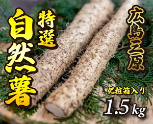 yӂ邳Ɣ[ŁzW375mō̂ꂽIRiϔj1.5kg L O  R Ƃ 029004