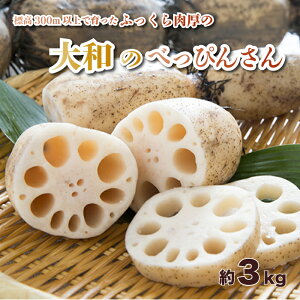 yӂ邳Ɣ[Łz 񂱂uâׂ҂񂳂v3kg p Osa R Mtg 053002