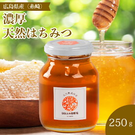 【ふるさと納税】【国産 天然蜂蜜】ミニストック 熟成「濃厚はちみつ」250g (糸崎町産)はちみつ 無添加 広島県 三原市 106004