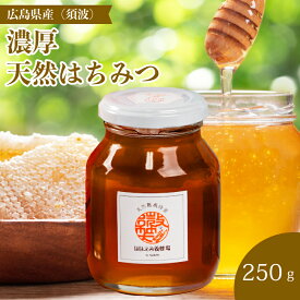 【ふるさと納税】【国産 天然蜂蜜】ミニストック 熟成「濃厚はちみつ」250g (須波町産)ハチミツ 無添加 広島県 三原市 106006