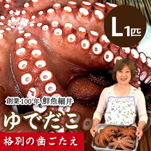 yӂ邳Ɣ[ŁzŃ_R(L) 1C 䥂Ń_R ^R   ˓ 019003