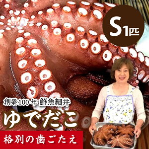 �y�ӂ邳�Ɣ[�Łz��Ń_�R(S) 1�C 䥂Ń_�R �^�R ���� �� ���˓� 019006