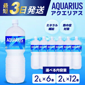 yӂ邳Ɣ[ŁzANGAX PET 2L×6{(6{×1P[X) 2L×12{(6{×2P[X) ŒZ3Ŕ X|[chN X|[c  ⋋ ybg{g  ܂Ƃߔ 014019-r