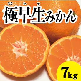 【ふるさと納税】みかん 柑橘【先行受付】【2025年10月中旬以降発送】 甘さと酸味が絶妙！極早生 みかん 約7kg 三原 佐木島 017013