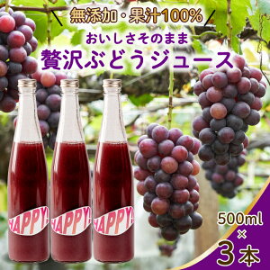 yӂ邳Ɣ[ŁzyYzyʏ`100zԂǂW[X3{Zbg uhEW[X r r Xg[g Y sgp 059020