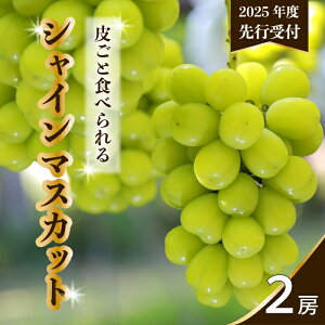 yӂ邳Ɣ[Łzys\zvac_̒̂ VC}XJbg 2[ }XJbg Ԃǂ uhE ʕ t[c L Os 034003