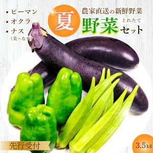 yӂ邳Ɣ[Łzystẑ݂_ _ƒIĖ؃Zbg(s[}AiXAIN)3.5kg ₳ l BBQ 2025N7`10{͂ LOs 206002
