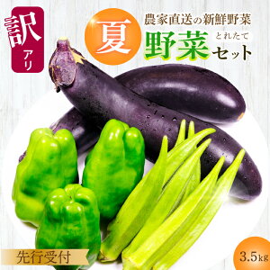 yӂ邳Ɣ[ŁzyԌzs󂠂t݂̂_ _ƒIĖ؃Zbg(s[}AiXAIN)3.5kg ₳ l BBQ LOs 206003