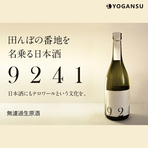 yӂ邳Ɣ[ŁzOKITA9241 hߐ011006
