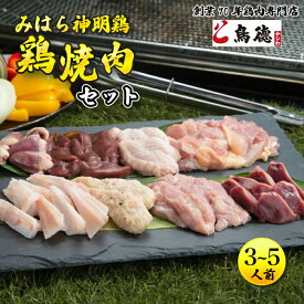 【ふるさと納税】【テレビで話題！】みはら神明鶏の焼肉セット(3～5人前) 鶏肉専門店 鳥徳 鶏肉 神明鶏 鶏モモ セセリ ハツ 手羽先 砂ずり 鶏 とりもも 鶏もも肉 つくね やきにく BBQ セット バーベキュー 012002