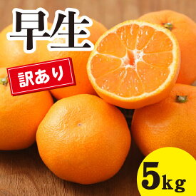 【ふるさと納税】訳あり みかん 【先行受付】【2025年11月以降発送】甘いだけじゃない！ 甘みと酸味の 訳あり早生みかん ＜約5kg＞ 広島 三原 佐木島 鷺島みかんじま 017015
