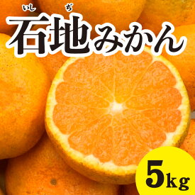 【ふるさと納税】みかん 柑橘【先行受付】【2025年12月以降発送】糖度が高く濃厚！ 石地みかん＜約5kg＞広島 三原 佐木島 鷺島みかんじま 017016