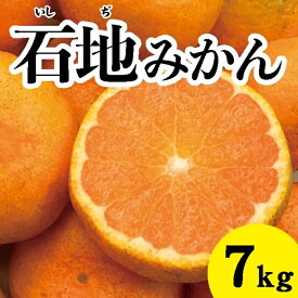【ふるさと納税】みかん 柑橘【先行受付】【2025年12月以降発送】糖度が高く濃厚！石地みかん〈約7kg〉広島 三原 佐木島 鷺島みかんじま 017017
