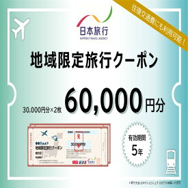 【ふるさと納税】広島県三原市 日本旅行＜地域限定旅行クーポン＞60,000円分 観光地応援 温泉 観光 旅行 ホテル 旅館 クーポン チケット 予約 株式会社日本旅行 143003