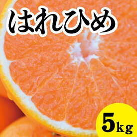 【ふるさと納税】みかん【先行受付】【2026年1月以降発送】 爽やかな香りと甘さに満足！ 新品種 はれひめ ＜約5kg＞ 広島 三原 佐木島 鷺島みかんじま 017018