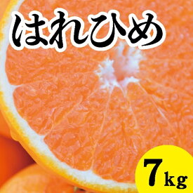 【ふるさと納税】みかん【先行受付】【2026年1月以降発送】 爽やかな香りと甘さに満足！ 新品種 はれひめ ＜約7kg＞ 広島 三原 佐木島 鷺島みかんじま 017019