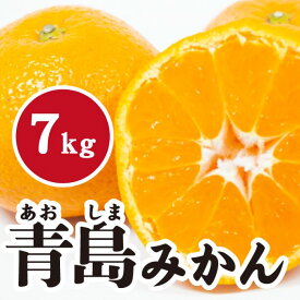 【ふるさと納税】 みかん【先行受付】【2026年1月末以降発送】 濃厚な甘さが特徴！青島みかん ＜約7kg＞ 広島 三原 佐木島 鷺島みかんじま 017055