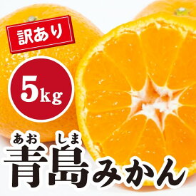 【ふるさと納税】みかん【先行受付】【2026年1月末以降発送】濃厚な甘さが特徴！訳あり青島みかん ＜約5kg＞ 広島 三原 佐木島 鷺島みかんじま 017067