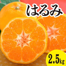 【ふるさと納税】みかん 柑橘 【先行受付】【2026年2月以降発送】甘くてジューシー！瀬戸内さぎしまのはるみ ＜約2.5kg＞ 広島 三原 佐木島 鷺島みかんじま みかん 017043